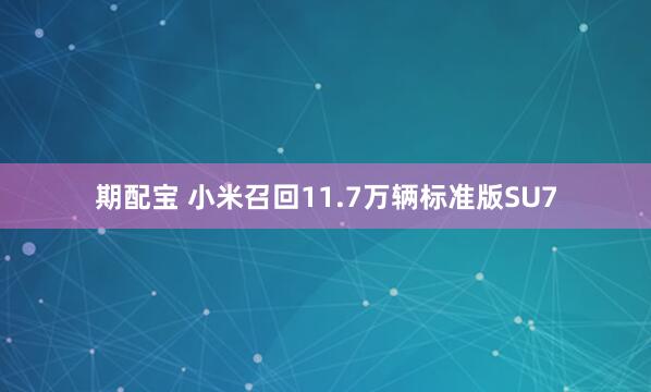 期配宝 小米召回11.7万辆标准版SU7