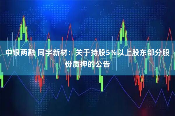 中银两融 同宇新材：关于持股5%以上股东部分股份质押的公告