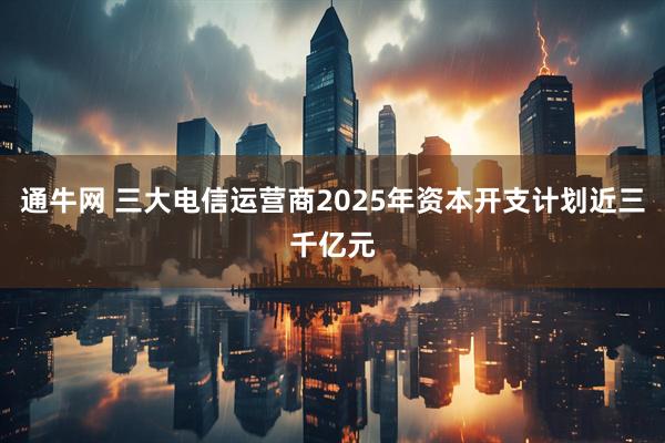 通牛网 三大电信运营商2025年资本开支计划近三千亿元