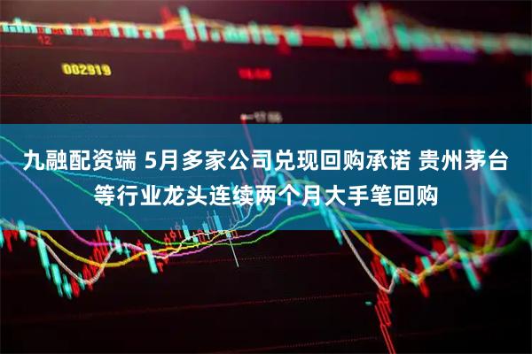 九融配资端 5月多家公司兑现回购承诺 贵州茅台等行业龙头连续两个月大手笔回购