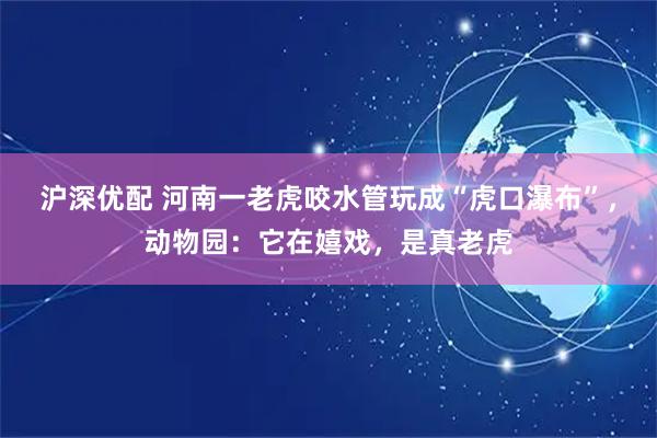 沪深优配 河南一老虎咬水管玩成“虎口瀑布”，动物园：它在嬉戏，是真老虎