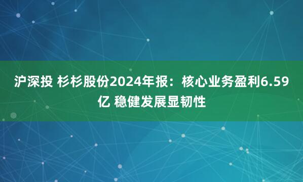 沪深投 杉杉股份2024年报：核心业务盈利6.59亿 稳健发展显韧性